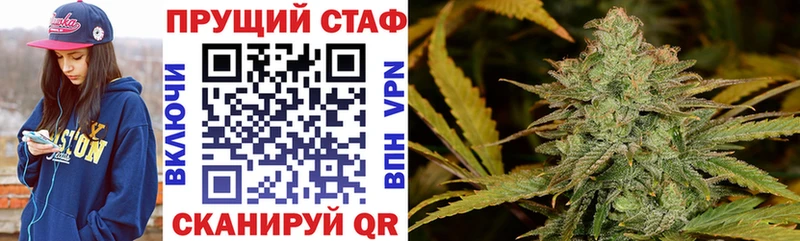 Где купить наркотики Светогорск ГАШИШ  АМФ  Меф мяу мяу  Кетамин  Конопля  Псилоцибиновые грибы 
