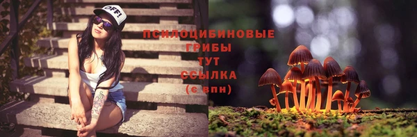 бошки Зеленокумск