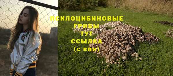герыч Заводоуковск