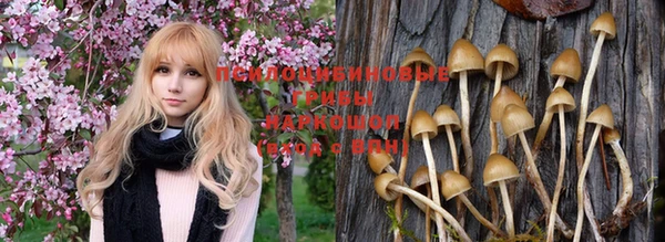 герыч Заводоуковск