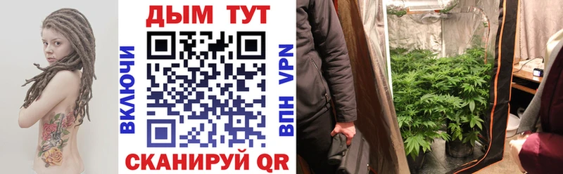 Шишки марихуана индика  наркошоп  Светогорск 